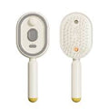 2026 New Electric Steam Brush, Electric Steam Brushs for Hair, Rechargeable Steam Hair Straightener, Detangling Steams Brush, Reduce Frizz, Nourishes Hairs, Anti-Static